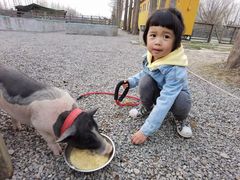 -前小桔亲子创意农场·草莓采摘·露营烧烤