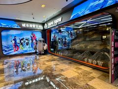 -Hopo Snow 城市滑雪空间(来福士广场购物中心店)