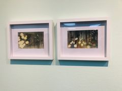 -江苏省美术馆(长江路新馆)