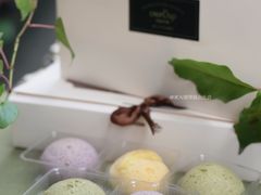 -可丽可丽·生日蛋糕·下午茶(厦门鹭港店)