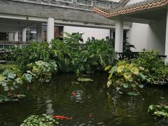 -东莞市可园博物馆