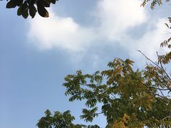 -上海怡沁园度假酒店