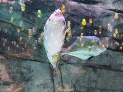 -欢乐海岸海洋奇梦馆