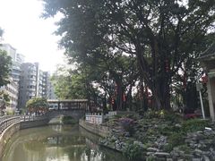 -荔湾湖公园