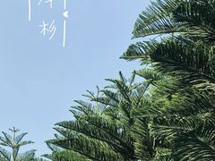 -五通灯塔公园
