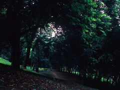 -蝴蝶泉公园