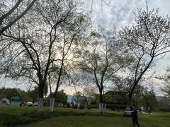 -雅达·阳羡溪山小镇中心