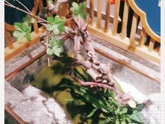 -呷湘厨·鱼汤捞饭·剁椒鱼头·辣椒炒肉(国家会展中心店)