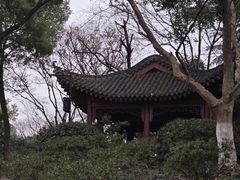 -武汉动物园