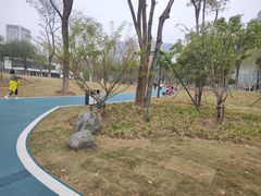 -后襄河公园