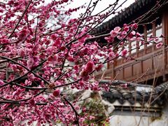-郭庄景区