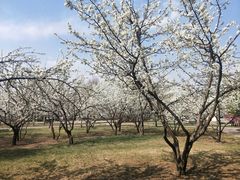 -长春公园(普阳街道)