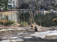 -北海道厅旧本厅舍(旧本庁舎)