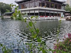 -荔湾湖公园