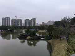 -王借岗森林公园