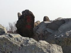-北京鹫峰国家森林公园