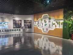 -野象谷景区