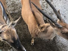 -宁波野生动物园