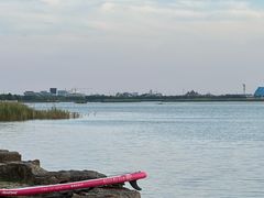 -苏州湾体育公园
