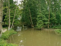 -桤木河湿地公园