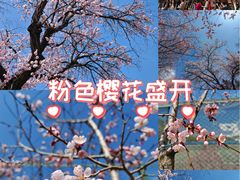 -吉林大学(南岭校区)