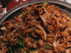 -大鸭梨烤鸭店(花园村店)