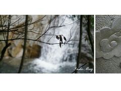 -宁波五龙潭景区