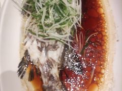 -大东海海鲜酒楼(渔人码头总店)