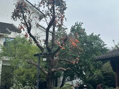 -广富林宰相府酒店·水云间