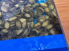 -青岛蓝海大饭店·爱琴海自助餐厅(崂山店)