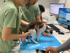 -达爱动物医院·犬猫分区·CT·复杂眼科(远洋山水分院)