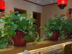 -鸽子窝(宋庄店)