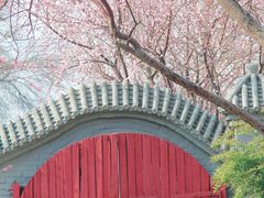 -桃花堤公园