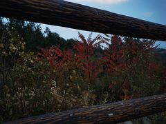 -白水寺森林公园