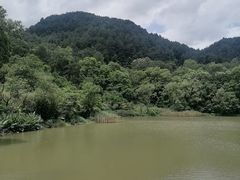 -黔灵山公园