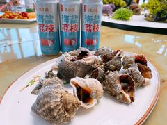 野生海螺-西门岛码头海鲜馆