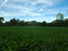 -荔香公园