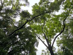 -燕晗山郊野公园