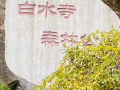 -白水寺森林公园