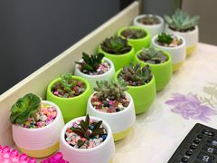 -超级鸡车(曹杨路店)