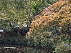 -秋霞圃