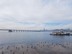 -星海广场