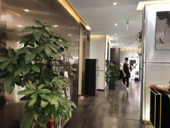 -崇尚GAVIN STYLE臻选