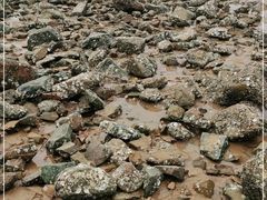 -青岛银沙滩