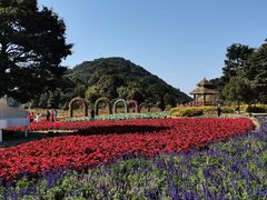 -广州市石门国家森林公园
