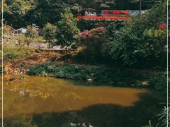 -天鹿湖森林公园