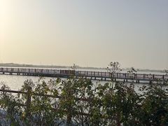 -鹅湖玫瑰文化园