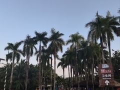 -呀诺达热带雨林