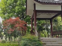 -大渡口区义渡公园