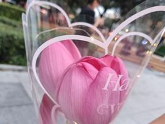 -黑龙江省森林植物园